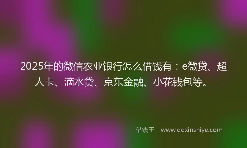 2025年的微信农业银行怎么借钱有：e微贷、超人卡、滴水贷、京东金融、小花钱包等。