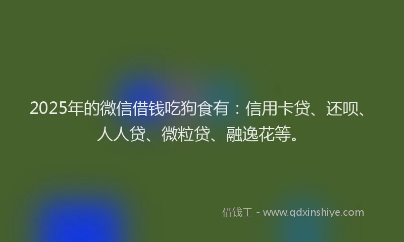 2025年的微信借钱吃狗食有：信用卡贷、还呗、人人贷、微粒贷、融逸花等。