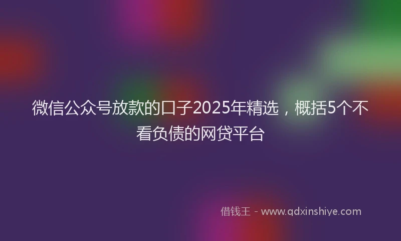 微信公众号放款的口子2025年精选，概括5个不看负债的网贷平台