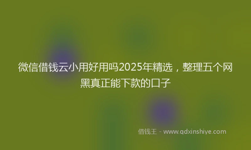 微信借钱云小用好用吗2025年精选，整理五个网黑真正能下款的口子
