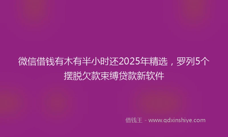 微信借钱有木有半小时还2025年精选，罗列5个摆脱欠款束缚贷款新软件