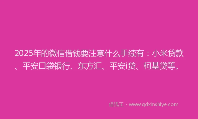 2025年的微信借钱要注意什么手续有：小米贷款、平安口袋银行、东方汇、平安i贷、柯基贷等。