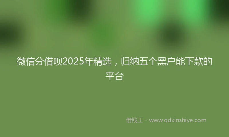 微信分借呗2025年精选，归纳五个黑户能下款的平台