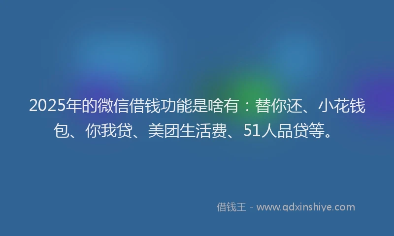 2025年的微信借钱功能是啥有：替你还、小花钱包、你我贷、美团生活费、51人品贷等。