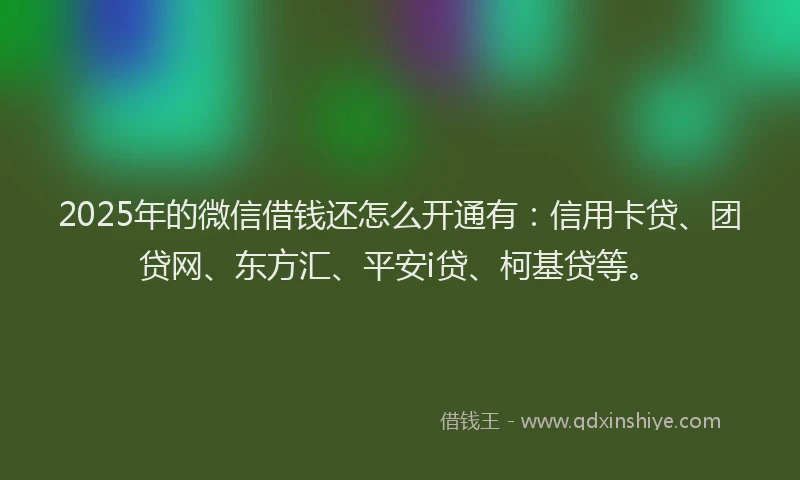 2025年的微信借钱还怎么开通有：信用卡贷、团贷网、东方汇、平安i贷、柯基贷等。