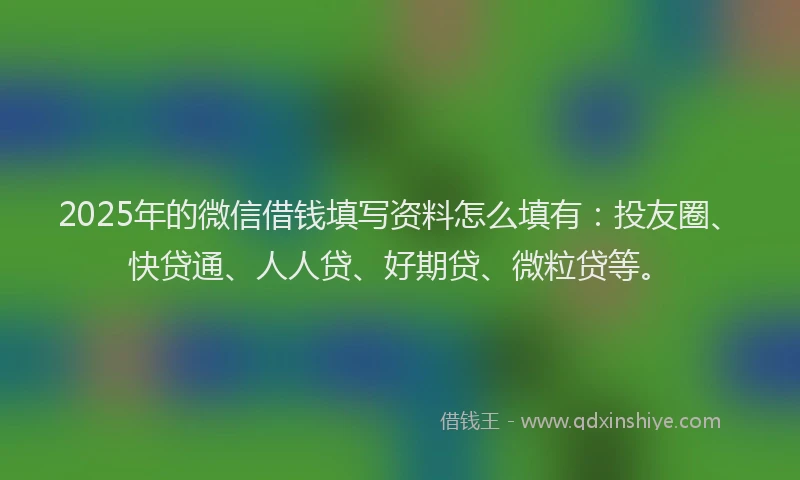 2025年的微信借钱填写资料怎么填有：投友圈、快贷通、人人贷、好期贷、微粒贷等。