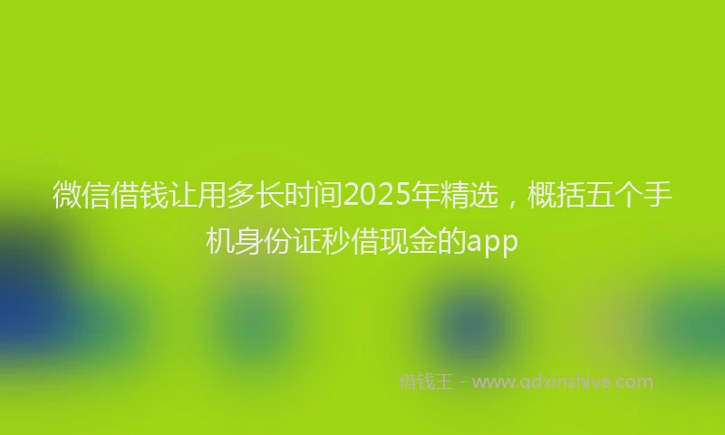 微信借钱让用多长时间2025年精选，概括五个手机身份证秒借现金的app