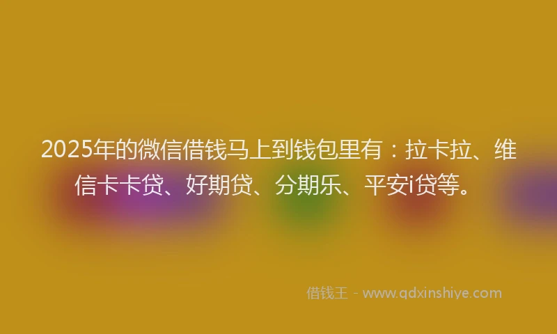 2025年的微信借钱马上到钱包里有：拉卡拉、维信卡卡贷、好期贷、分期乐、平安i贷等。