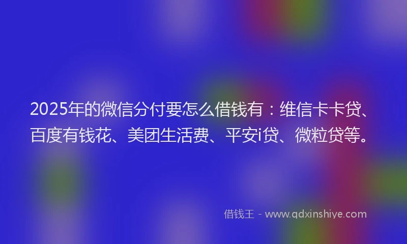 2025年的微信分付要怎么借钱有:维信卡卡贷、百度有钱花、美团生活费、平安i贷、微粒贷等。