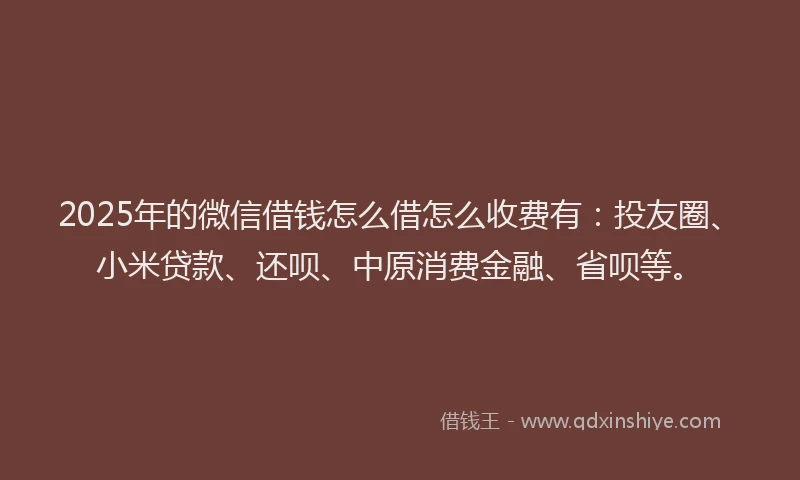 2025年的微信借钱怎么借怎么收费有：投友圈、小米贷款、还呗、中原消费金融、省呗等。