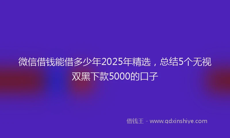 微信借钱能借多少年2025年精选，总结5个无视双黑下款5000的口子