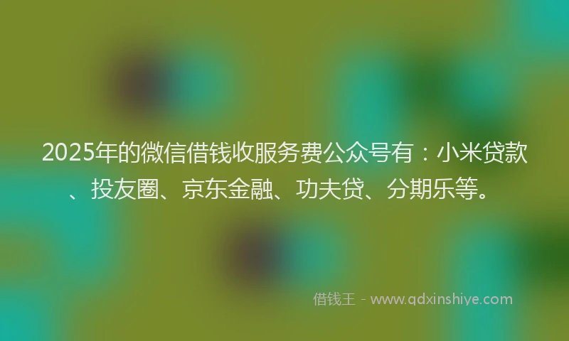 2025年的微信借钱收服务费公众号有：小米贷款、投友圈、京东金融、功夫贷、分期乐等。
