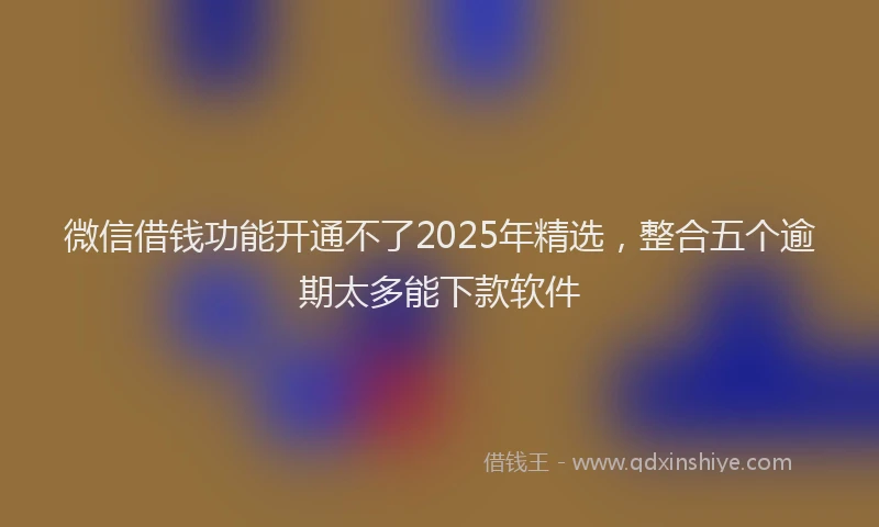 微信借钱功能开通不了2025年精选，整合五个逾期太多能下款软件