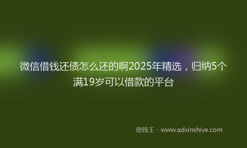 微信借钱还债怎么还的啊2025年精选，归纳5个满19岁可以借款的平台