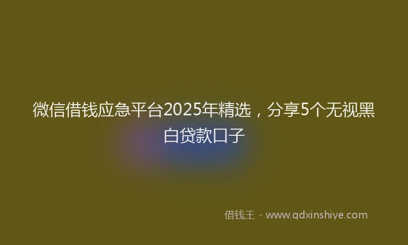 微信借钱应急平台2025年精选，分享5个无视黑白贷款口子