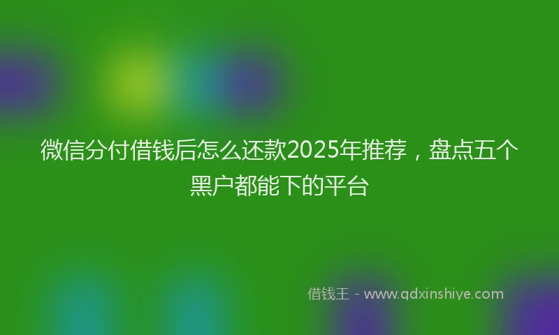微信分付借钱后怎么还款2025年推荐，盘点五个黑户都能下的平台