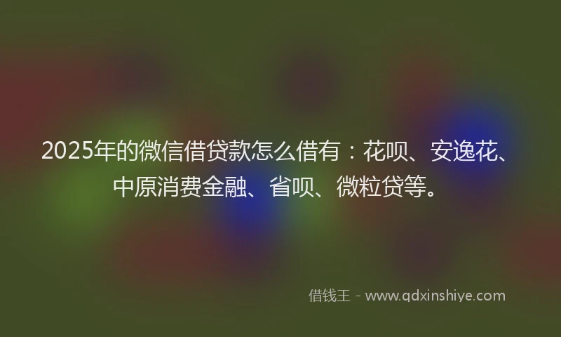 2025年的微信借贷款怎么借有：花呗、安逸花、中原消费金融、省呗、微粒贷等。