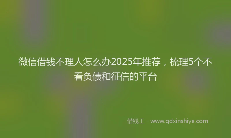 微信借钱不理人怎么办2025年推荐，梳理5个不看负债和征信的平台