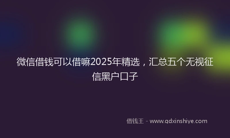 微信借钱可以借嘛2025年精选，汇总五个无视征信黑户口子