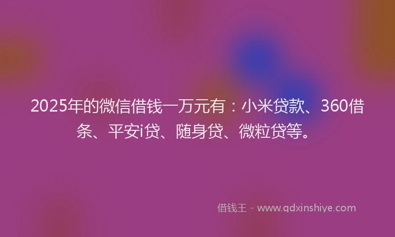 2025年的微信借钱一万元有：小米贷款、360借条、平安i贷、随身贷、微粒贷等。