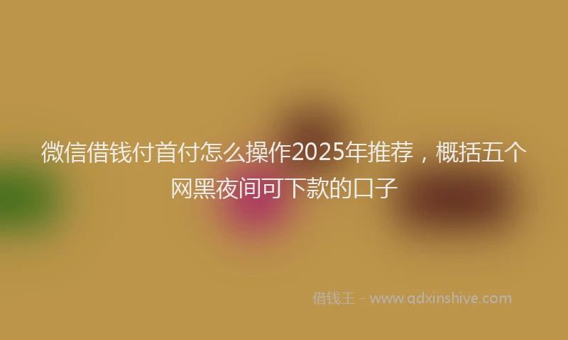微信借钱付首付怎么操作2025年推荐，概括五个网黑夜间可下款的口子