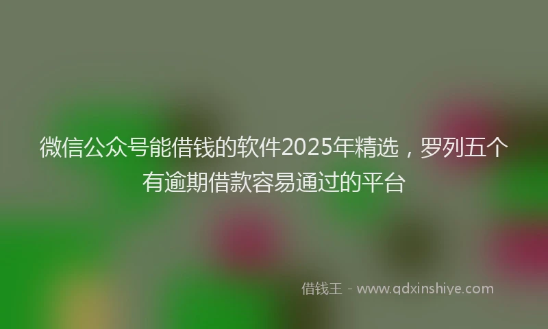 微信公众号能借钱的软件2025年精选，罗列五个有逾期借款容易通过的平台