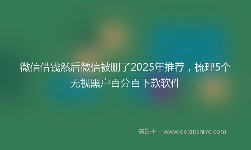 微信借钱然后微信被删了2025年推荐，梳理5个无视黑户百分百下款软件