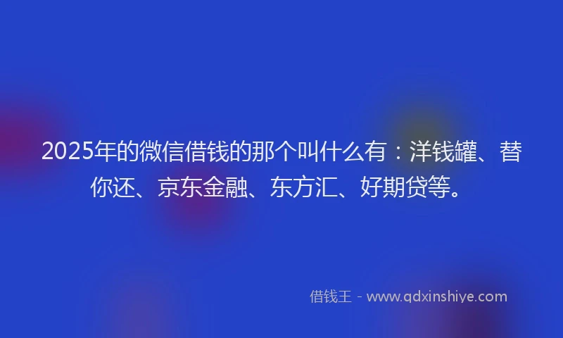 2025年的微信借钱的那个叫什么有：洋钱罐、替你还、京东金融、东方汇、好期贷等。