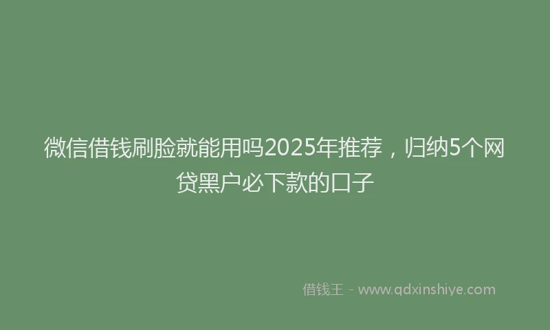 微信借钱刷脸就能用吗2025年推荐，归纳5个网贷黑户必下款的口子