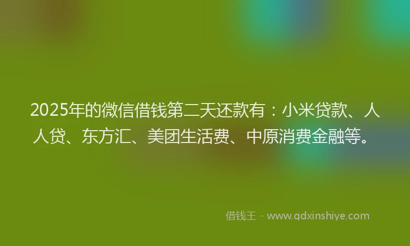 2025年的微信借钱第二天还款有：小米贷款、人人贷、东方汇、美团生活费、中原消费金融等。