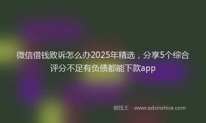 微信借钱败诉怎么办2025年精选，分享5个综合评分不足有负债都能下款app