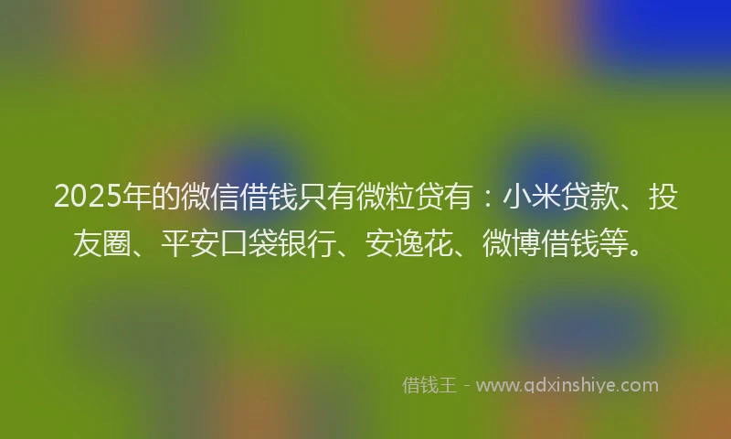 2025年的微信借钱只有微粒贷有：小米贷款、投友圈、平安口袋银行、安逸花、微博借钱等。