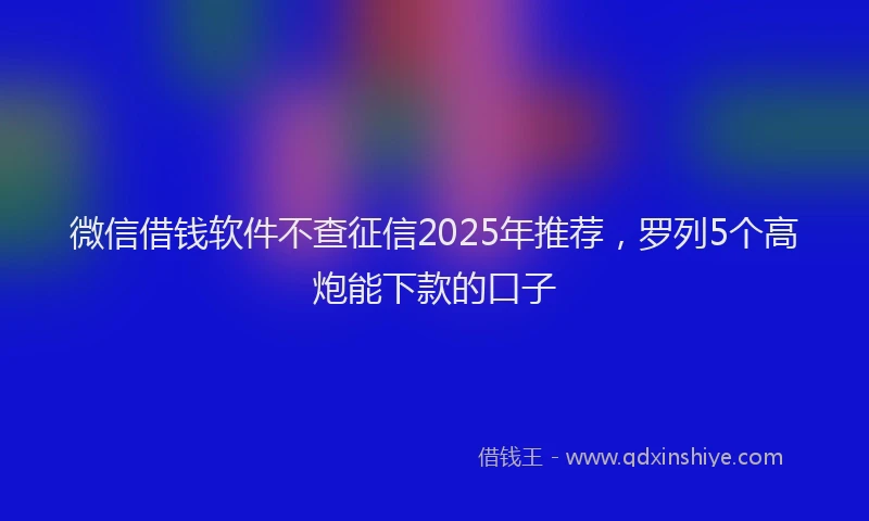 微信借钱软件不查征信2025年推荐，罗列5个高炮能下款的口子