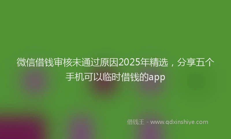 微信借钱审核未通过原因2025年精选，分享五个手机可以临时借钱的app