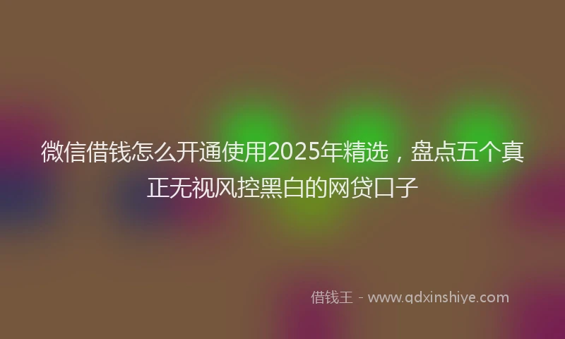 微信借钱怎么开通使用2025年精选，盘点五个真正无视风控黑白的网贷口子