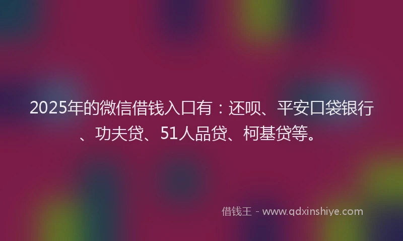 2025年的微信借钱入口有：还呗、平安口袋银行、功夫贷、51人品贷、柯基贷等。