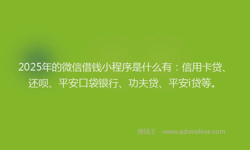 2025年的微信借钱小程序是什么有：信用卡贷、还呗、平安口袋银行、功夫贷、平安i贷等。