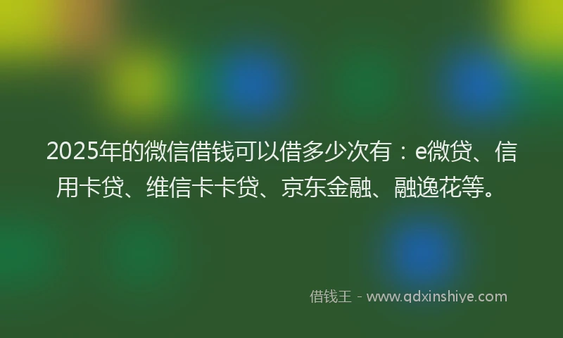 2025年的微信借钱可以借多少次有：e微贷、信用卡贷、维信卡卡贷、京东金融、融逸花等。