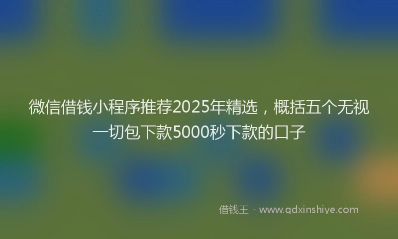 微信借钱小程序推荐2025年精选，概括五个无视一切包下款5000秒下款的口子