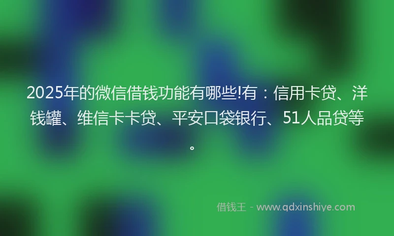 2025年的微信借钱功能有哪些!有：信用卡贷、洋钱罐、维信卡卡贷、平安口袋银行、51人品贷等。