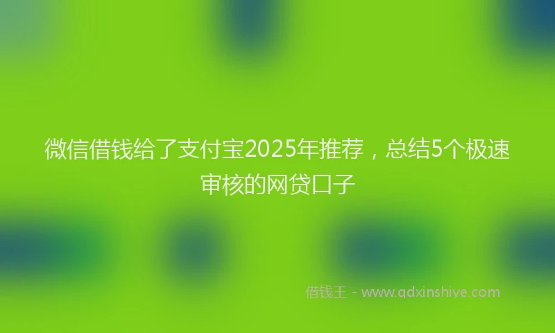 微信借钱给了支付宝2025年推荐，总结5个极速审核的网贷口子
