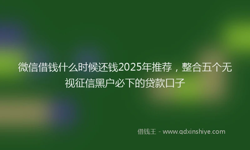 微信借钱什么时候还钱2025年推荐，整合五个无视征信黑户必下的贷款口子