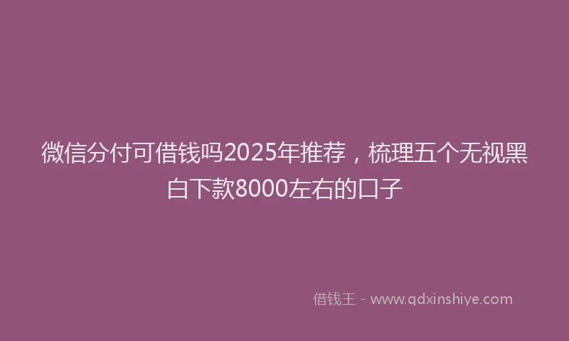 微信分付可借钱吗2025年推荐，梳理五个无视黑白下款8000左右的口子