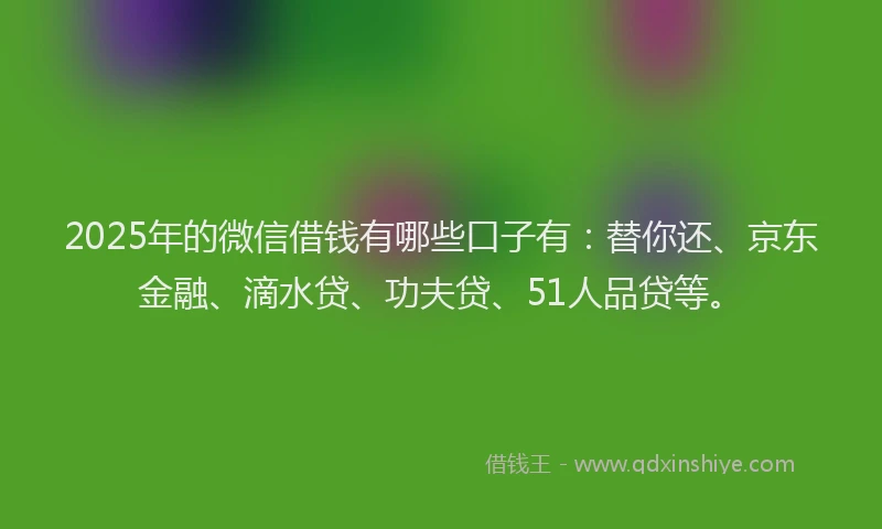 2025年的微信借钱有哪些口子有：替你还、京东金融、滴水贷、功夫贷、51人品贷等。