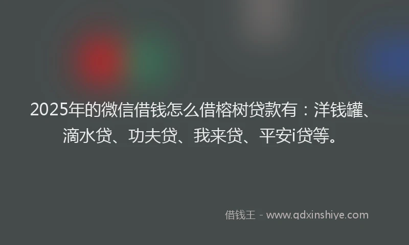 2025年的微信借钱怎么借榕树贷款有：洋钱罐、滴水贷、功夫贷、我来贷、平安i贷等。