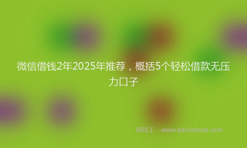 微信借钱2年2025年推荐，概括5个轻松借款无压力口子