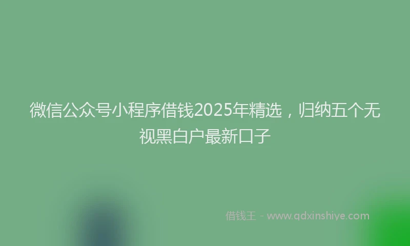 微信公众号小程序借钱2025年精选，归纳五个无视黑白户最新口子