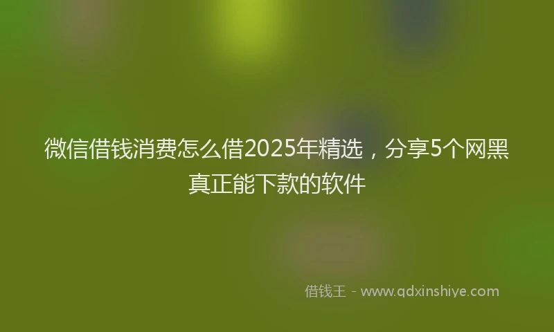 微信借钱消费怎么借2025年精选，分享5个网黑真正能下款的软件