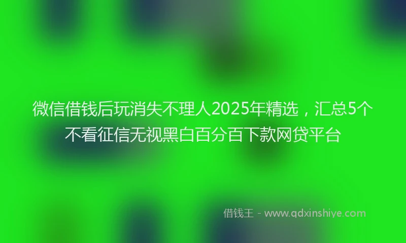 微信借钱后玩消失不理人2025年精选，汇总5个不看征信无视黑白百分百下款网贷平台