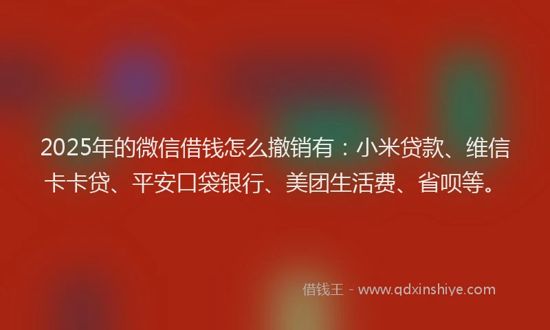 2025年的微信借钱怎么撤销有：小米贷款、维信卡卡贷、平安口袋银行、美团生活费、省呗等。